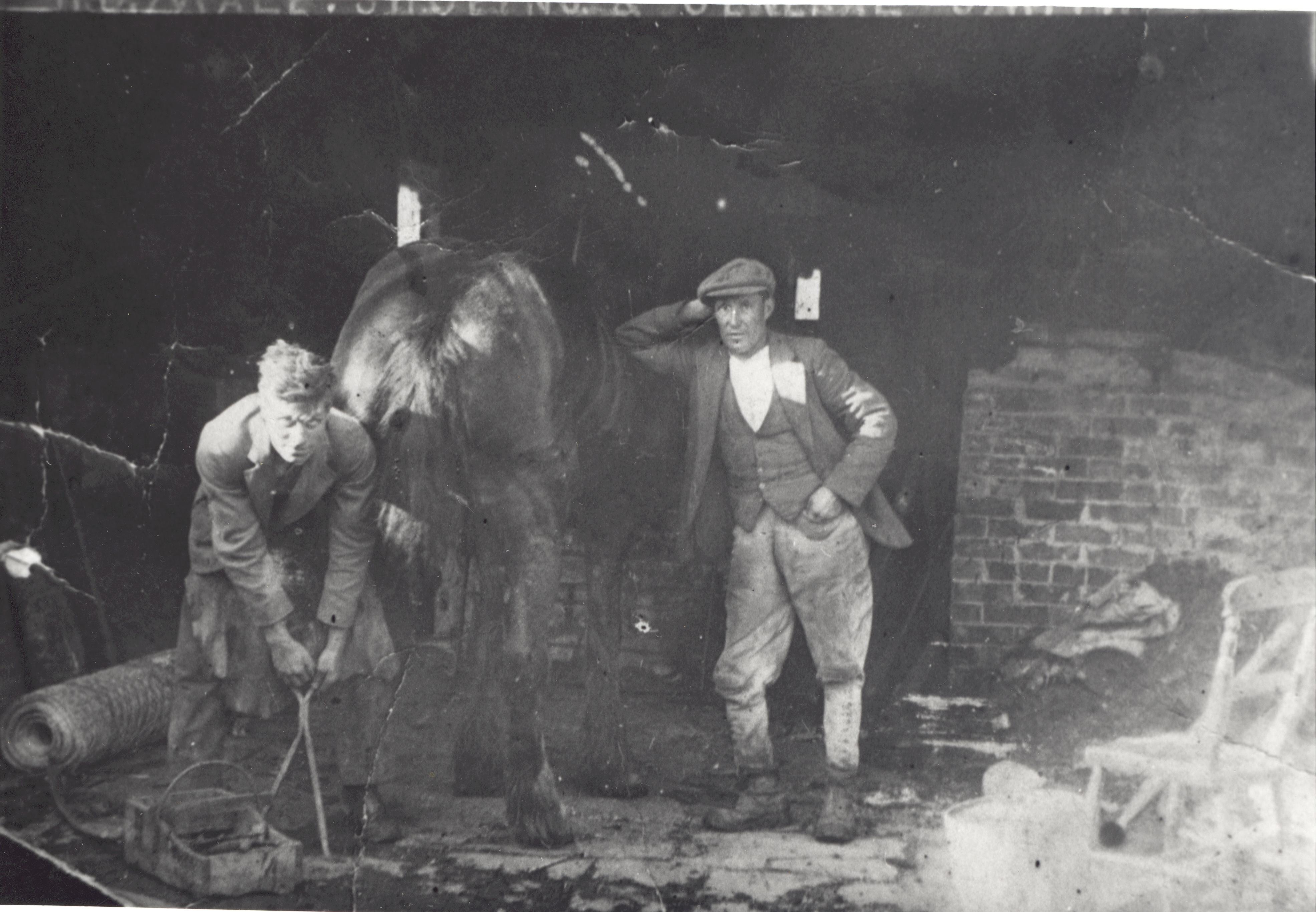 Douglas Male blacksmith & Will Best shoeing horse