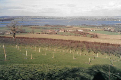West Moor withy beds underwater from Burrow Hill.