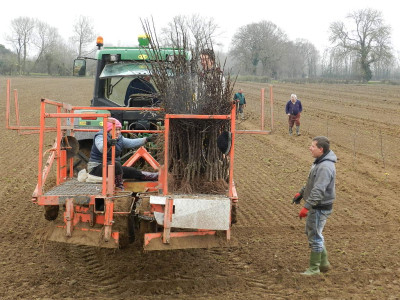 Planting a new Orchard
