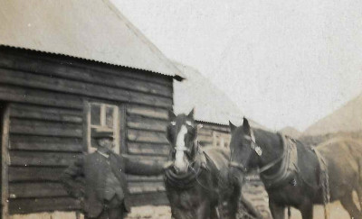 Man with two work horses.