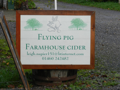 Flying Pig Sign at Four Winds Cider Farm