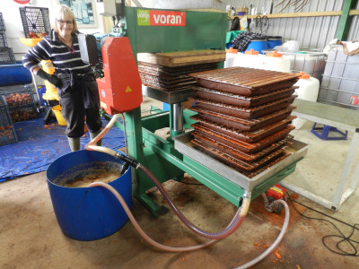 The Voran Apple Press in action
