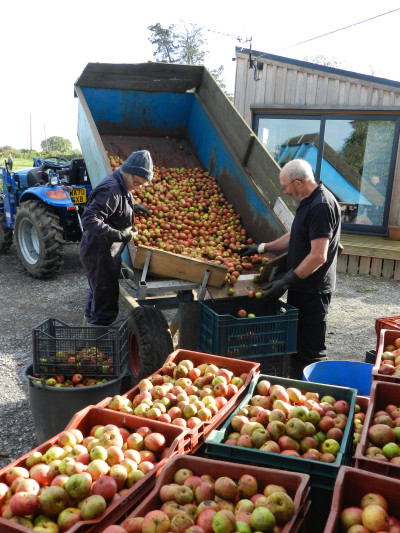 Harvest Time at Four Winds