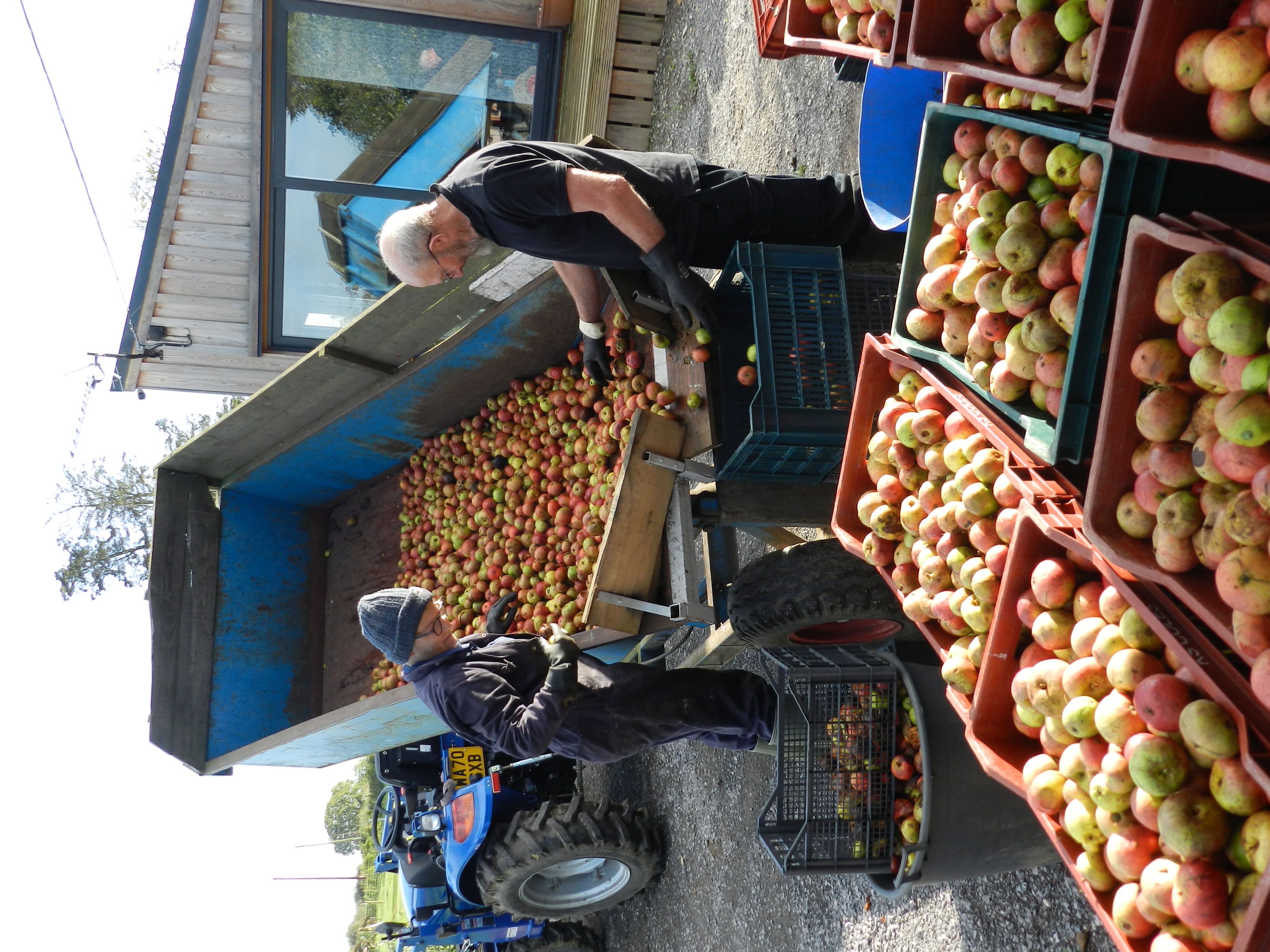 Harvest Time at Four Winds