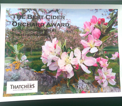 The Most Improved Orchard Award