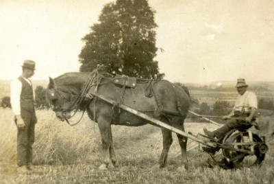 Horse-drawn machine for cutting hay