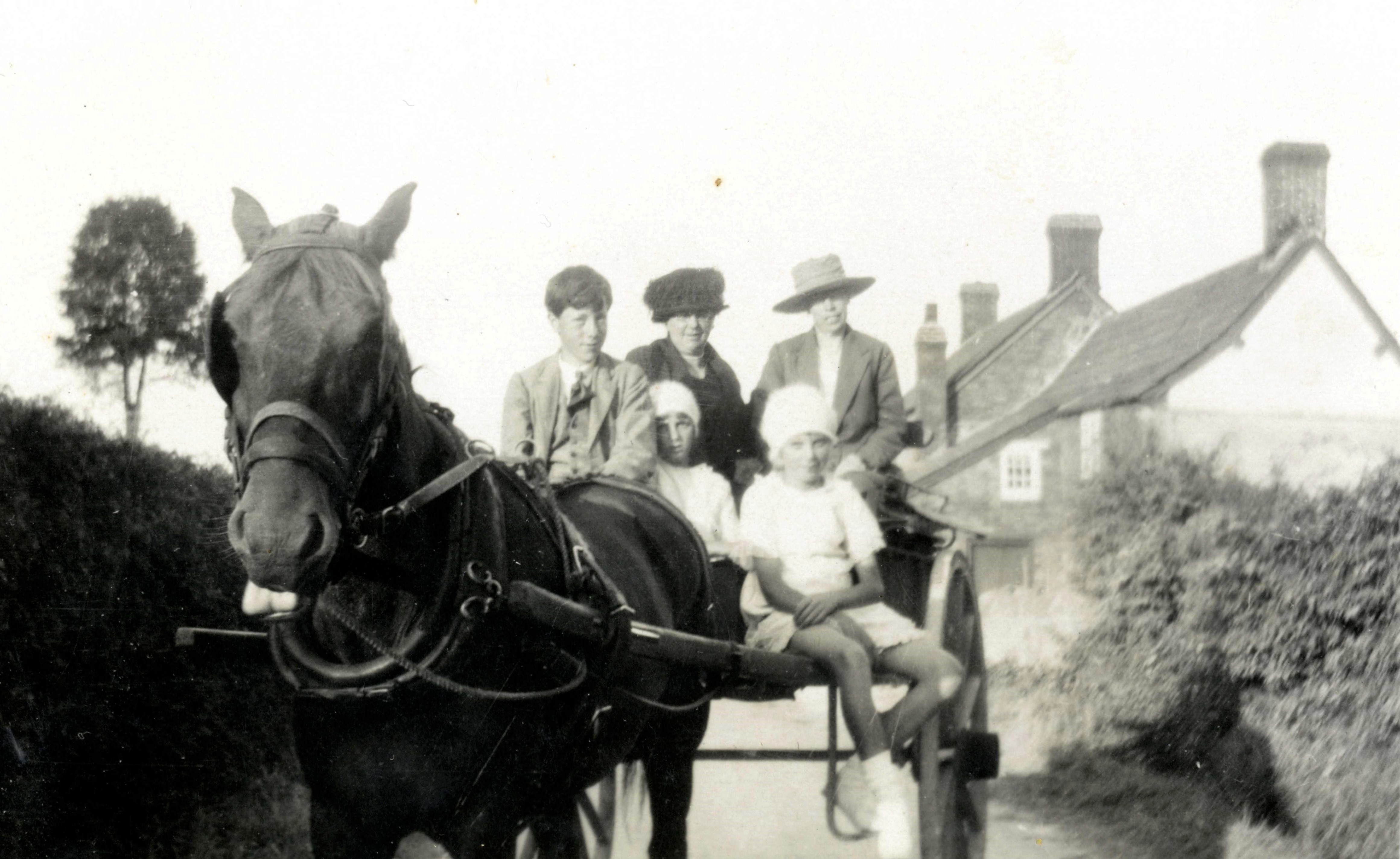 Family in horse and trap