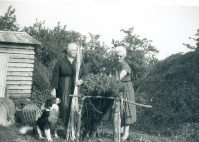 Elliott Family stripping withies