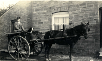 Horse and trap - with Charles Duck and dog