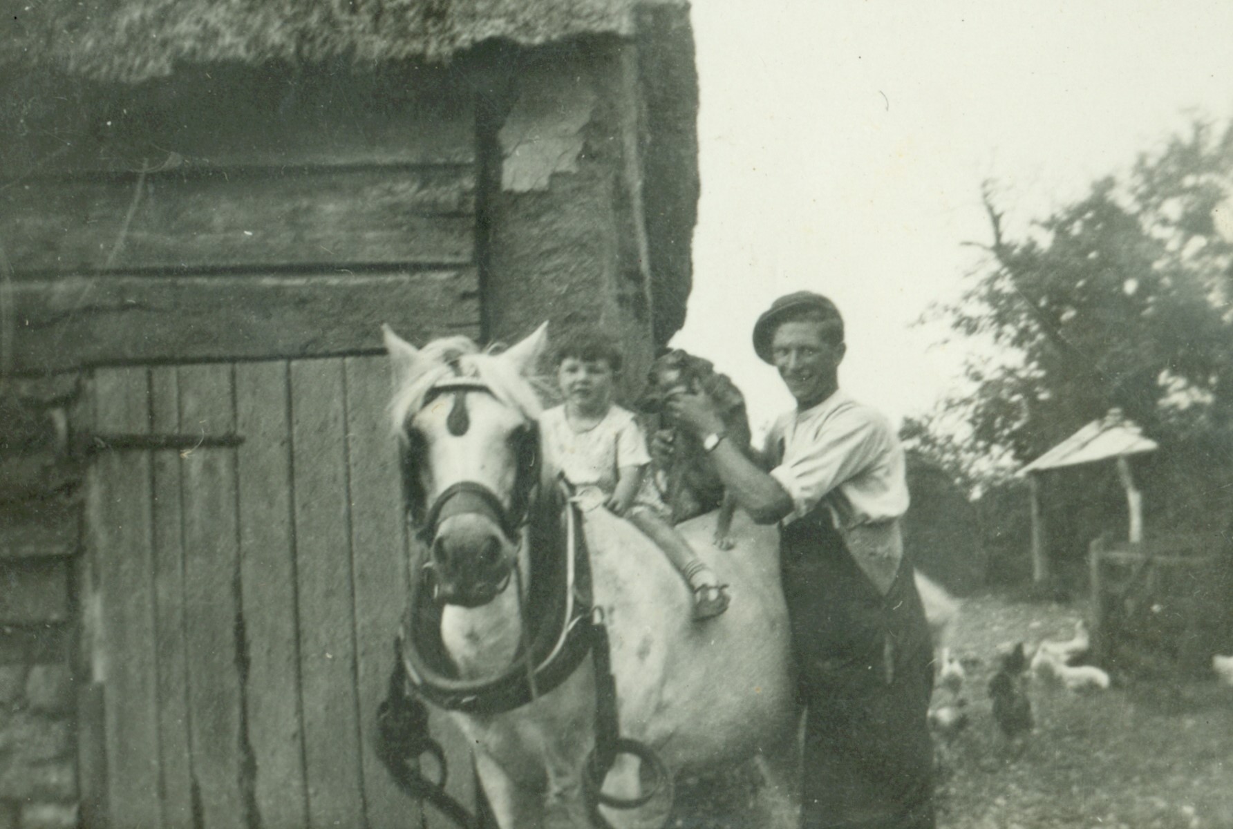 Elliott Family
