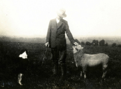Charles Duck senior - with sheep and sheepdog.