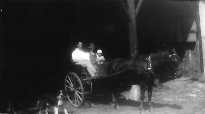 Family in horse and trap