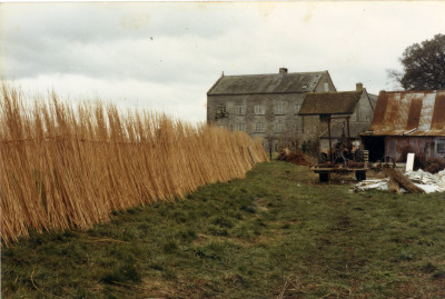 Withies drying at Riverside Farm