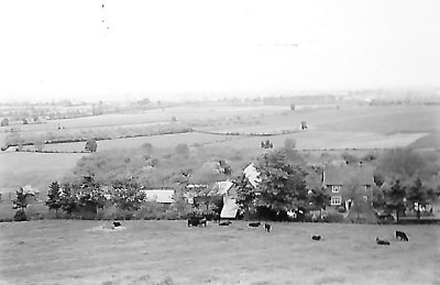 View of Pass Vale Farm with cows grazing on Burrow Hill