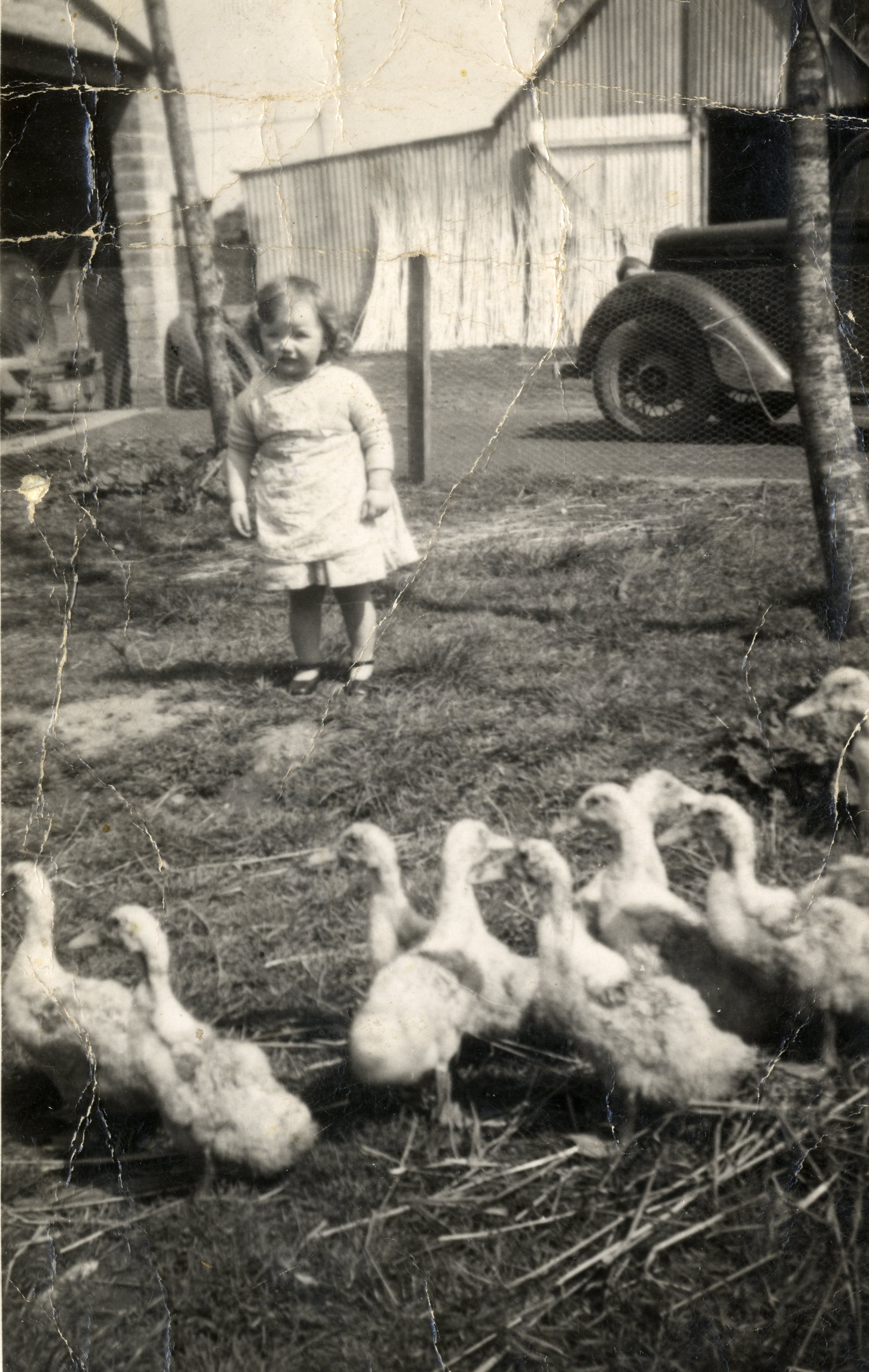 Doreen with farmyard birds.