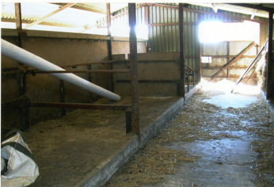 Cow Shed at May Farm