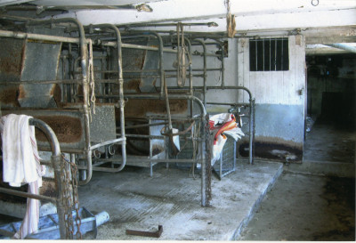 Milking Parlour