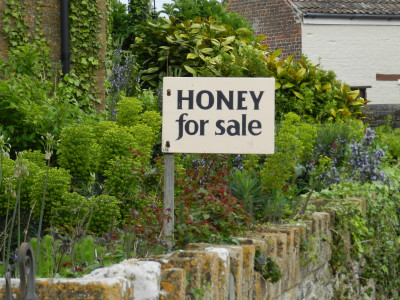Honey Sign outside Waterloo House