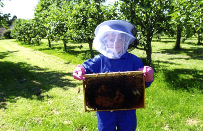 Teaching beekeeping to the next generation