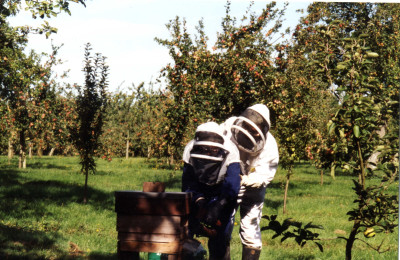 Roy White with gandson - working with the bees