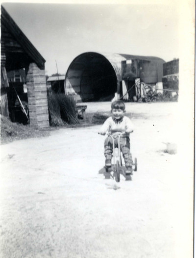 Lock child on tricycle at Coxs Farm