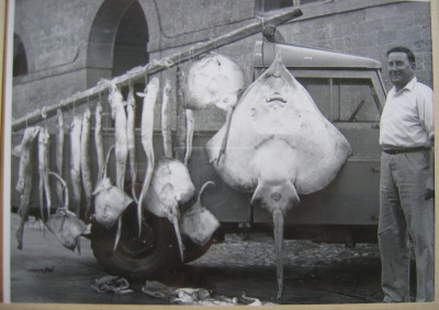 Frank Jennings with giant fish catch.