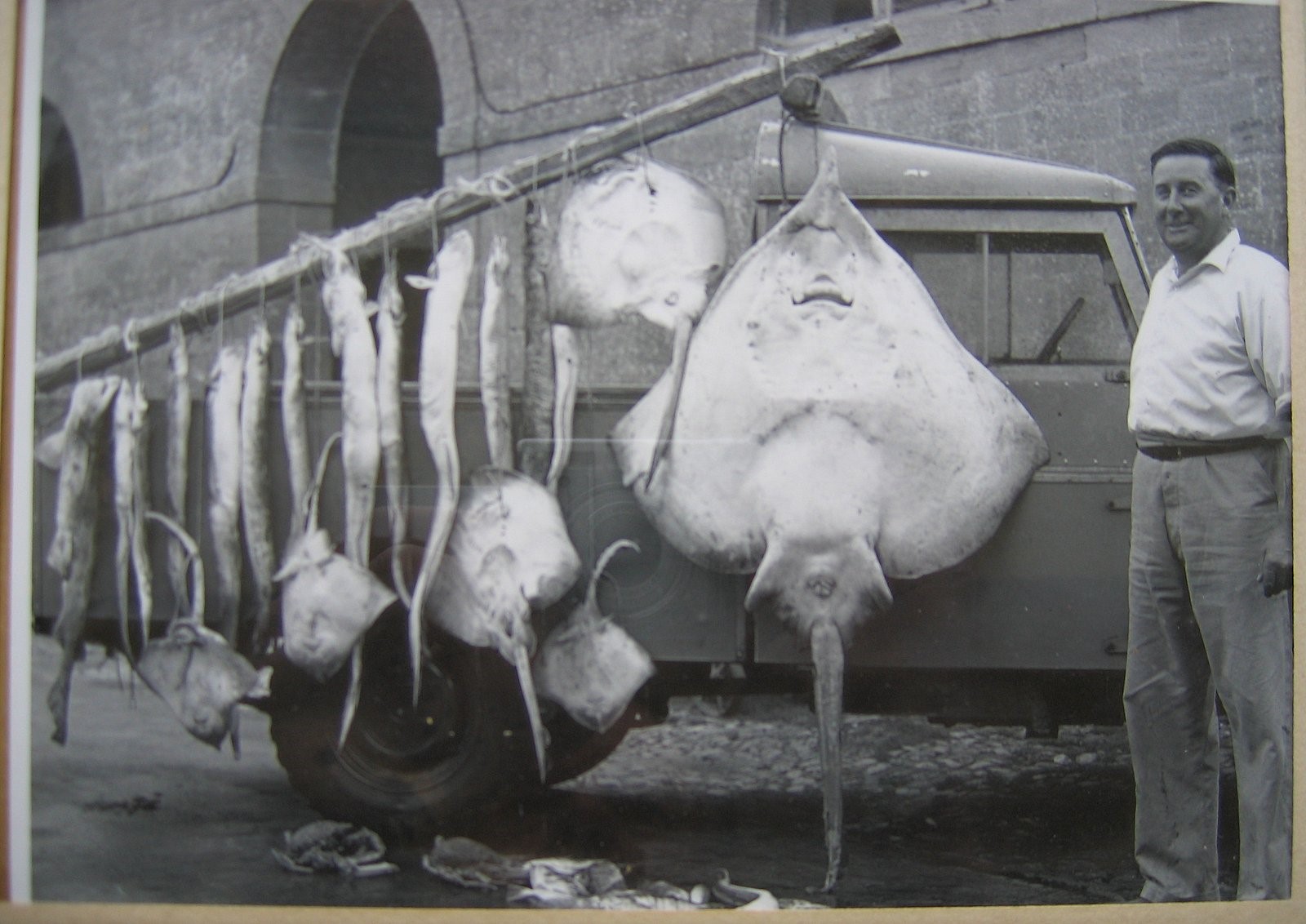 Frank Jennings with giant fish catch.