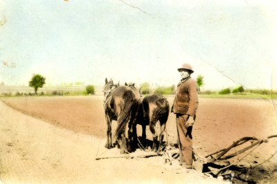 Courtney Pipe with horse-drawn plough and plough team.