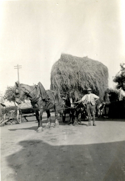 Courtney Pipe with loaded Hay Wagon