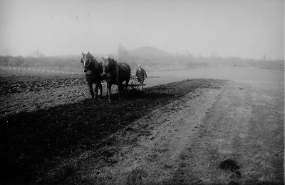 Tom Pipe ploughing with shire horses