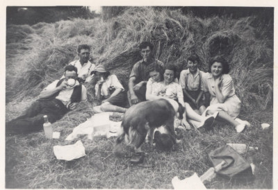 Reed Family picnic 1955