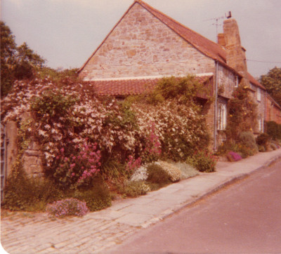"House of Flowers"