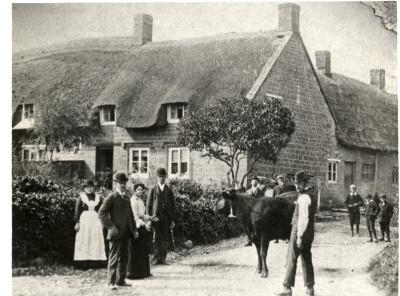 Corner of "Doke" - West End, with cow in road