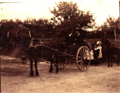 John and Mary Elizabeth Savidge in horse and trap - Stembridge Ash