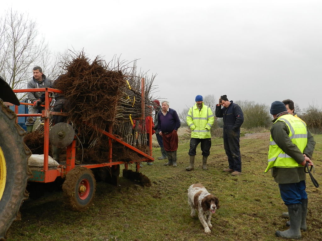 Planting about to start at Coombe Bridge - 03