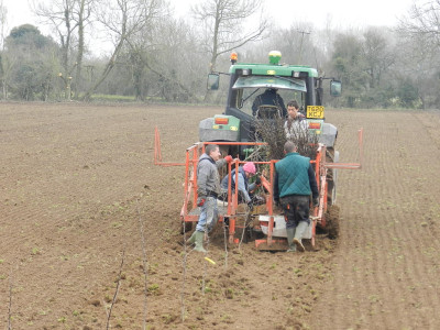 Tree planting in process at Coombe Bridge - 04