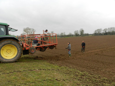 End of a row - Coombe Bridge Orchard planting - 05