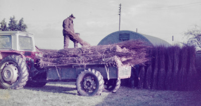 Brian Lock on trailer with withies