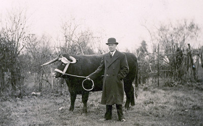 Harry - Butcher - Bond with prize steer.