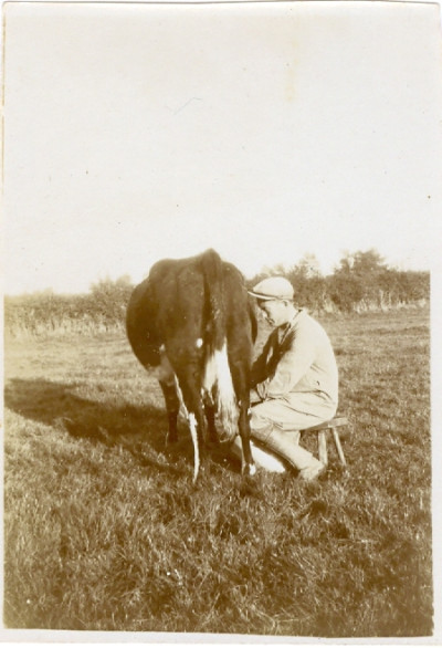 Marwood Martin milking in field.