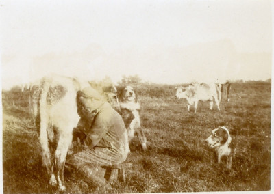 Marwood Martin, dogs and milking cows.