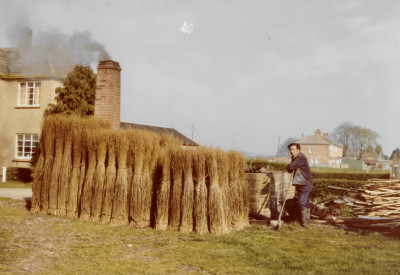 Ed (Charles Edward) Male and withy bundles and boiler