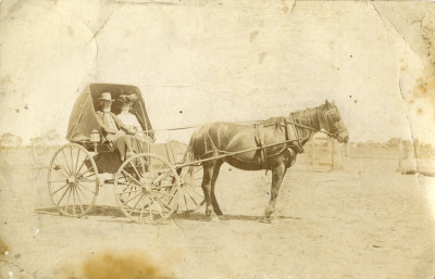 Post Card of Horse and Carriage, Australia