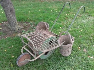 Our First Pedestrian Apple Harvester