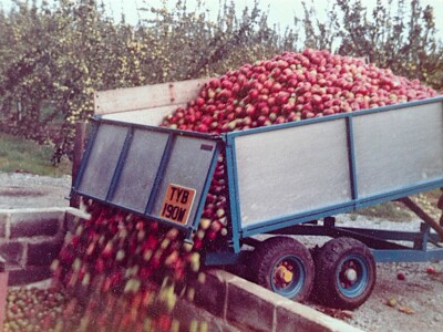 Trailer Tipping
