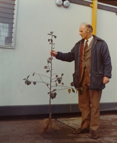John Stuckey and bush cider tree