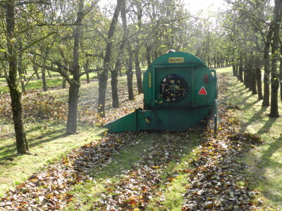 Apple Blower at Work