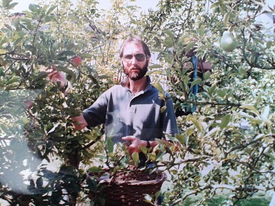 Picking Apples By Hand