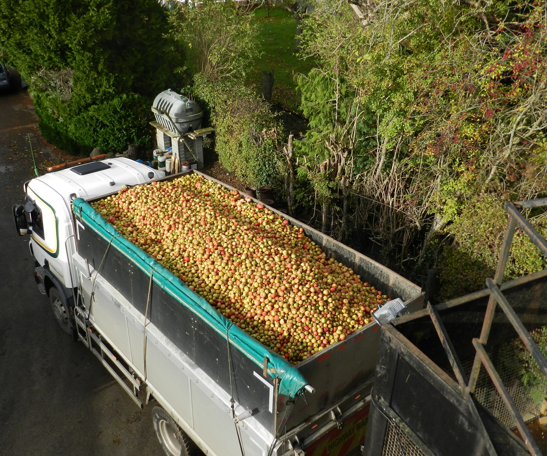 Apple Harvest on Lorry