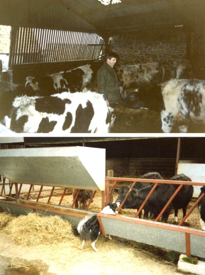 On the Farm